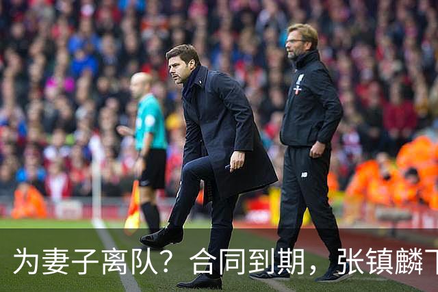 为妻子离队？合同到期，张镇麟下家4选1，广东2队有机会