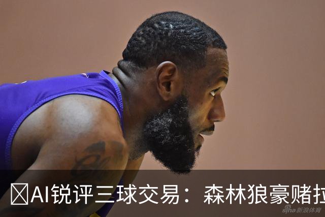🤖AI锐评三球交易：森林狼豪赌拉梅洛得分B 黄蜂高位套现获评A-